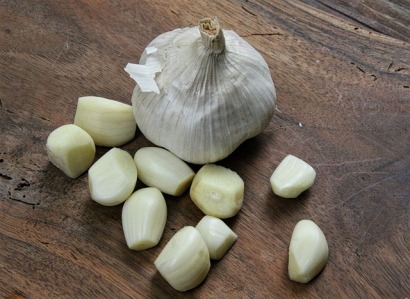 garlic-photo